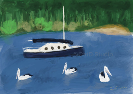 Nambucca Pelicans