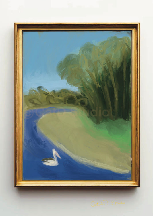 Pelican on Nambucca